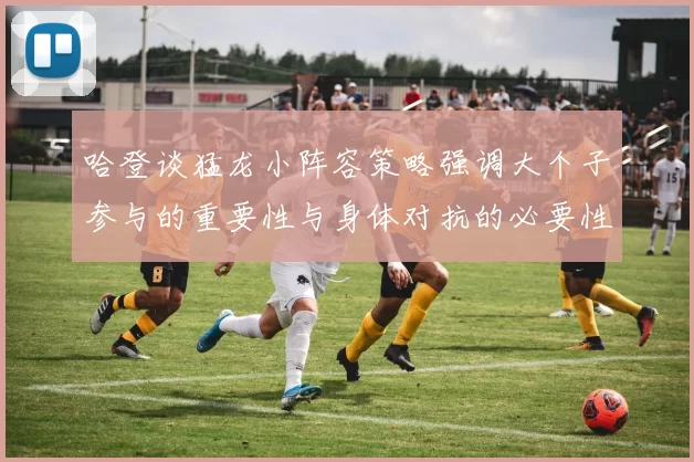 哈登谈猛龙小阵容策略强调大个子参与的重要性与身体对抗的必要性